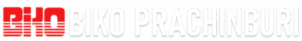 BIKO PRACHINBURI (THAILAND) Co.Ltd